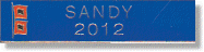 Sandy2012PINsilo